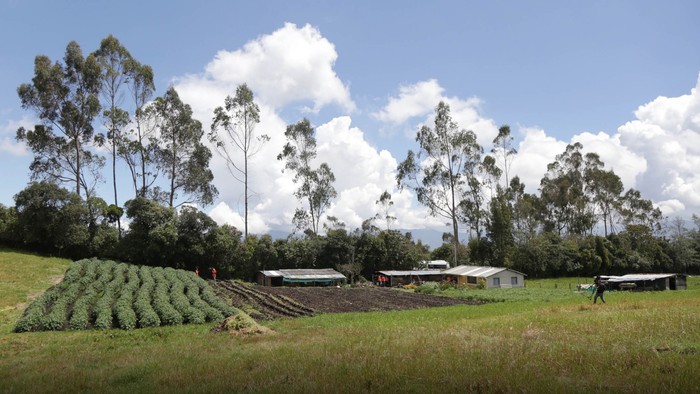Foto principal del artículo 'Tinajas: la finca prometida y luego arrebatada a familias en el Cauca'