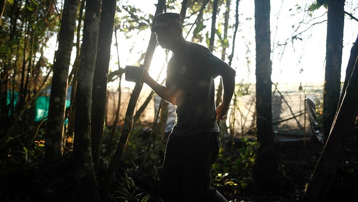 Foto principal del artículo 'Así es el organigrama de los cabecillas de las disidencias de las Farc en Cauca y Nariño' · Foto: Colprensa/Prensa/Redes sociales