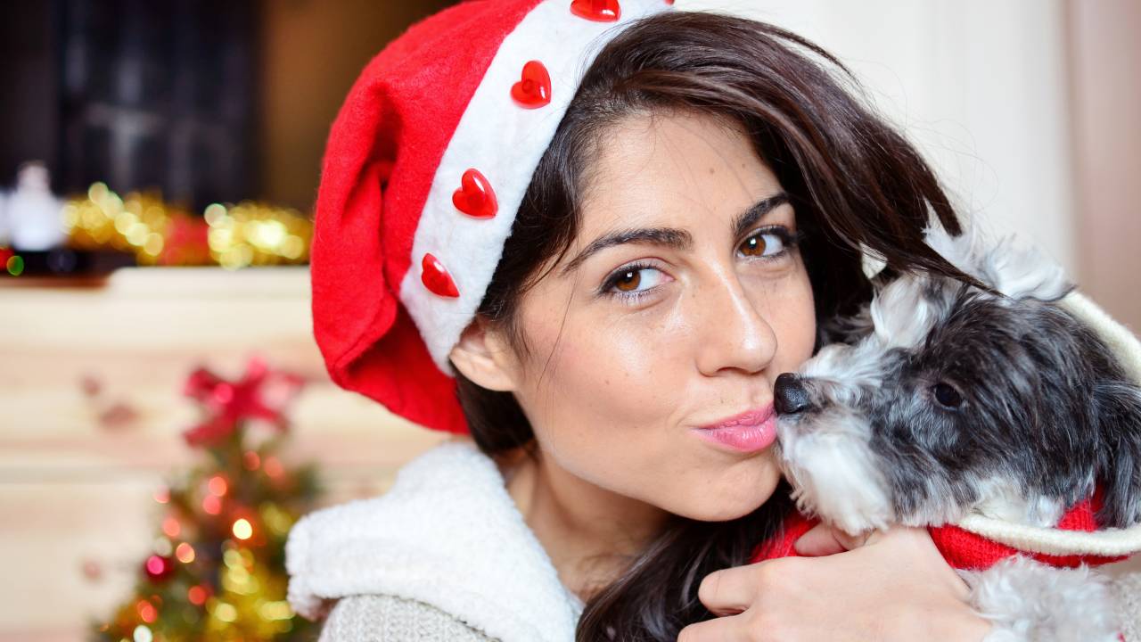 ¿Cómo lograr que su perro socialice con personas y otros animales? Consejos clave de expertos
