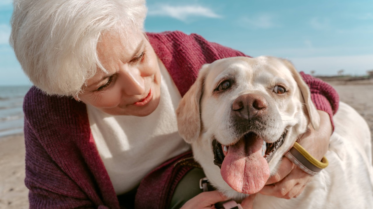 ¿Qué es una mascota sénior y cuáles son los cuidados que debe tener?