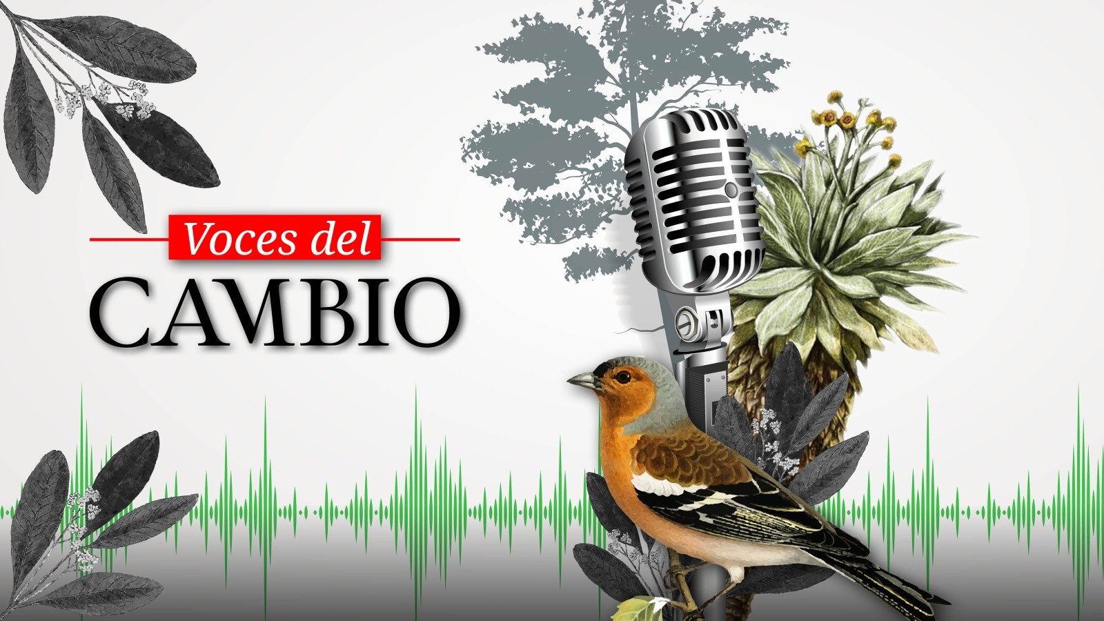Sembrar conciencias