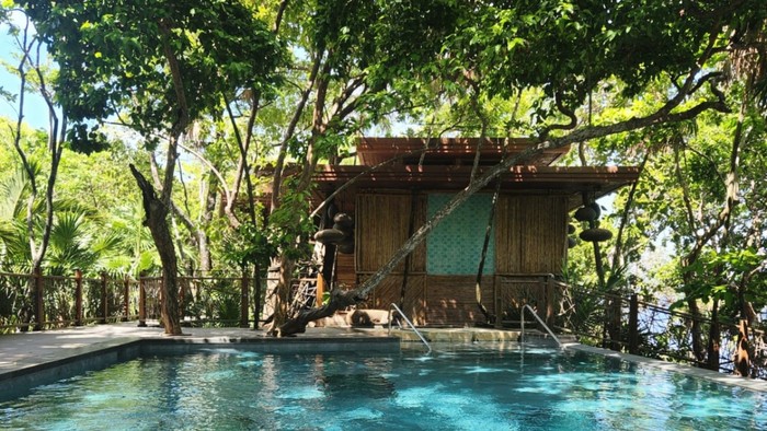 Foto principal del artículo 'Iupipati, Iupipati: viaje a Roatán, la cuna de la sopa de caracol que inspiró una canción'