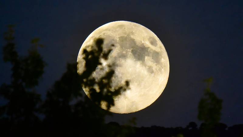 La superluna ocurrirá el próximo 5 de noviembre. Créditos: Freepik