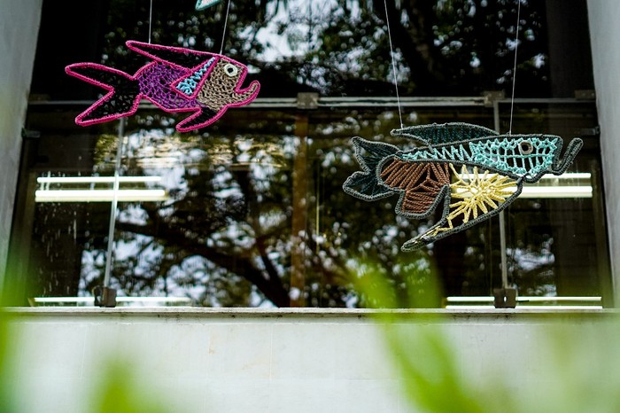 ´Barracudas al vuelo' se exhiben en el barrio El Prado de Barranquilla.