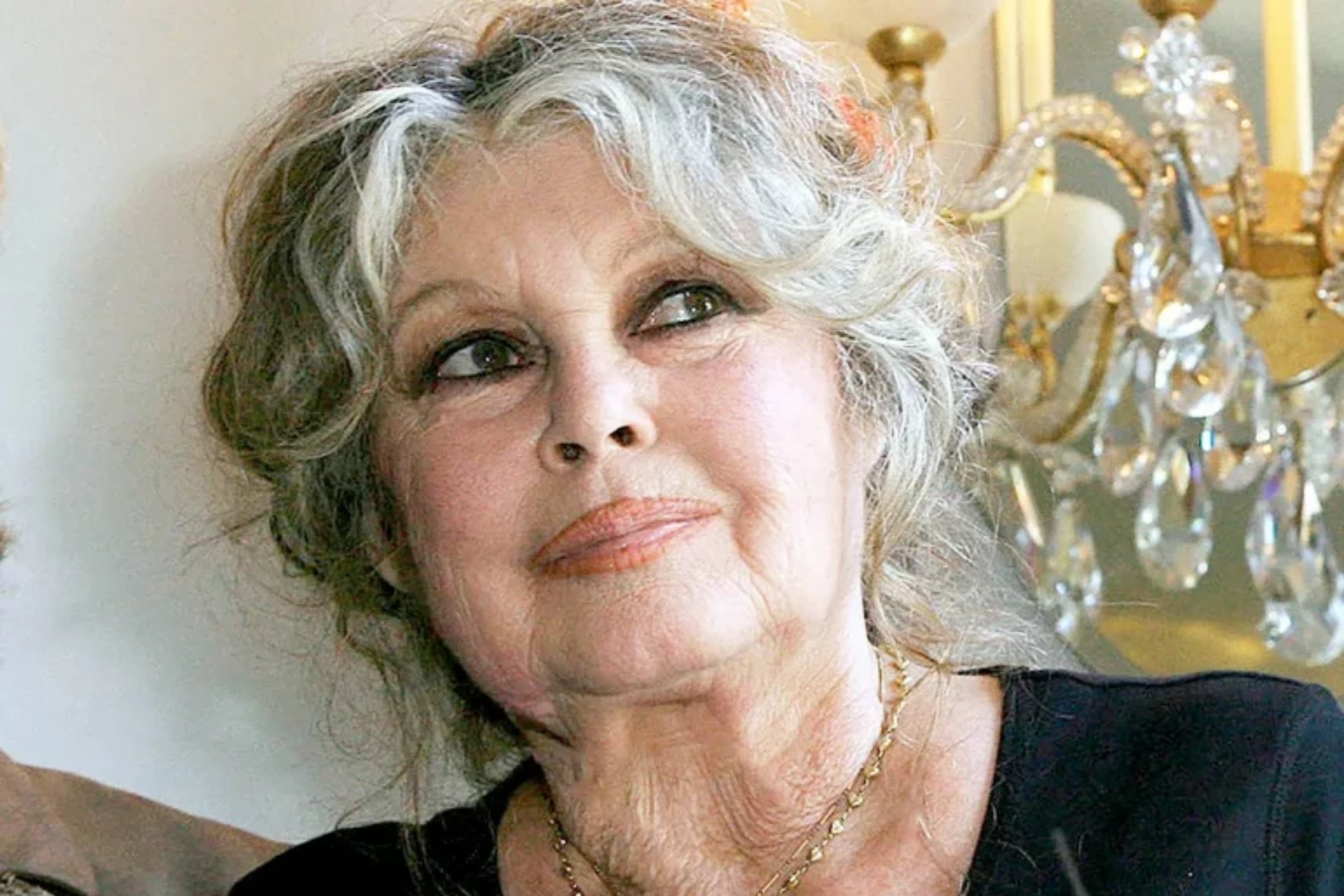 Foto principal del artículo 'Brigitte Bardot: “Dejé el cine para enfrentar el sufrimiento animal”'