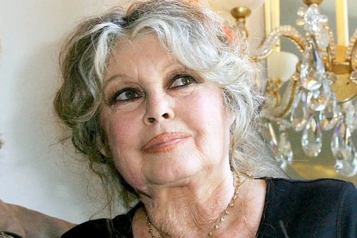 Foto principal del artículo 'Brigitte Bardot: “Dejé el cine para enfrentar el sufrimiento animal”'
