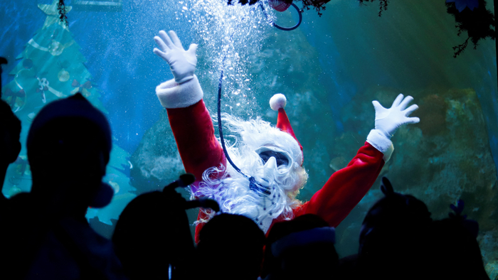 Un buzo vestido de Papá Noel hace un gesto a los visitantes mientras flota en una pecera en el acuario del Zoológico de Guadalajara | Crédito: REUTERS/Michelle Freyria
