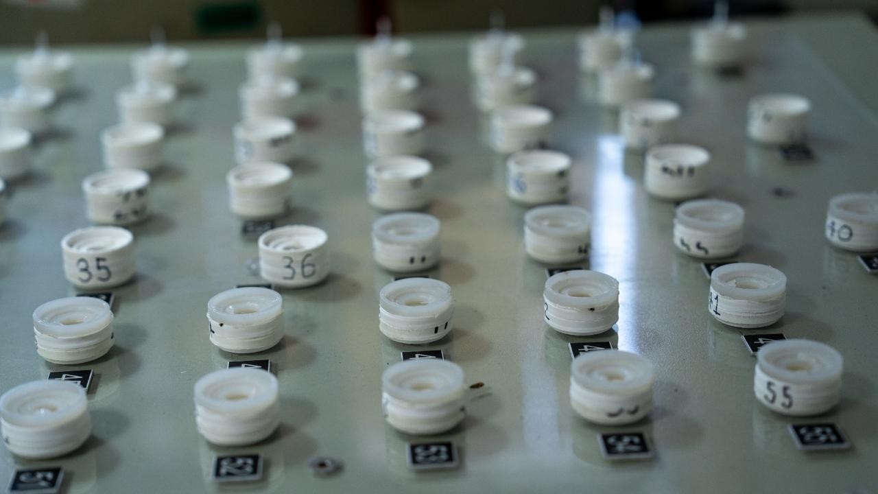 Muestras de radioisótopos en el Laboratorio de Análisis por Activación Neutrónica del Servicio Geológico Colombiano. Créditos: SGC