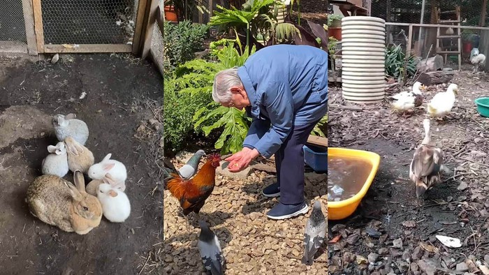 Granja La Marielita. Créditos: capturas de pantalla de video de Granja La Marielita