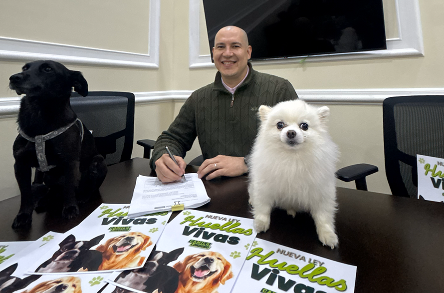 La Ley Huellas Vivas busca que animales atropellados en Colombia reciban atención veterinaria inmediata con el SOAT